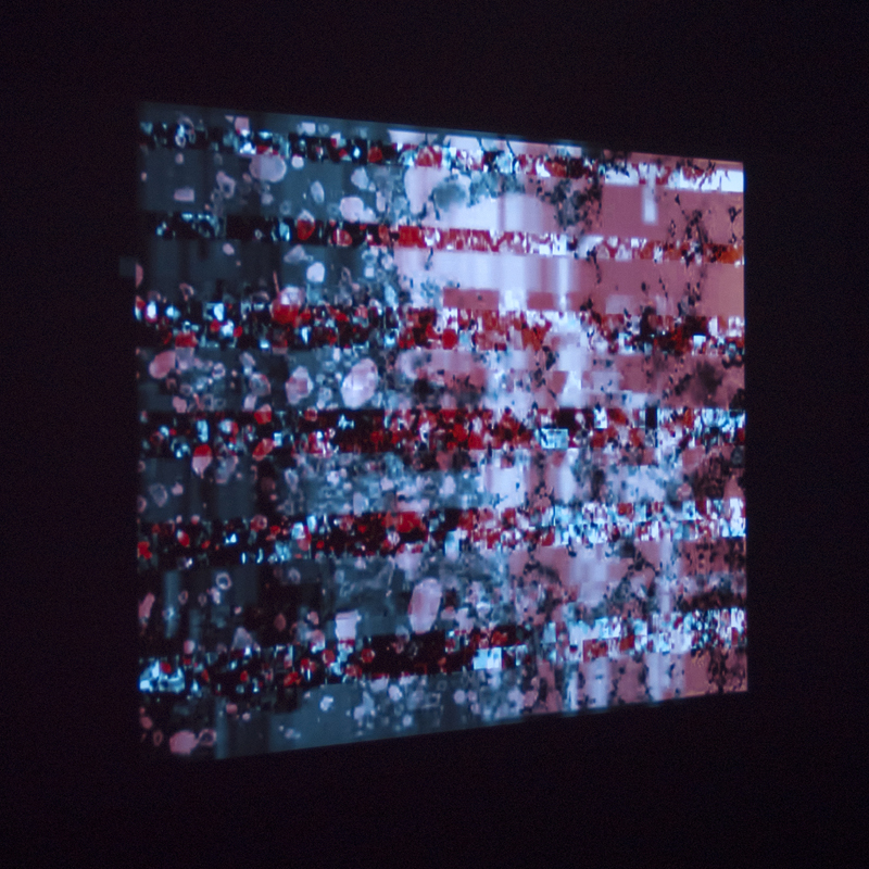 Lydia Nsiah, distortion (installation view, "Kernel Panic - Antimatter [Media Art]", Deluge Contemporary Art Gallery, Victoria, BC (CA)]